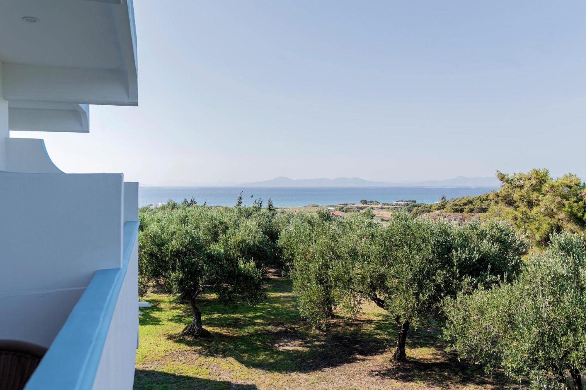 Summer View Θεολόγος